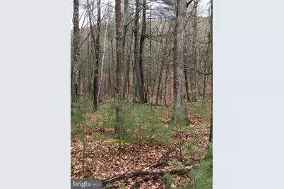 Lots 88 Orndorff Way, Yellow Spring, WV 26865 - Photo 5