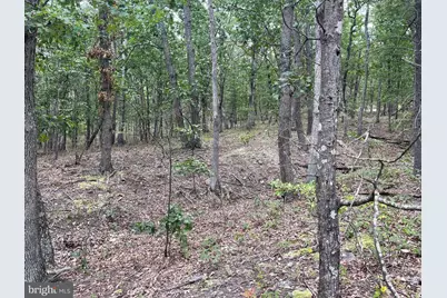 Lot 17 Section D Lake Ferndale, Springfield, WV 26763 - Photo 5