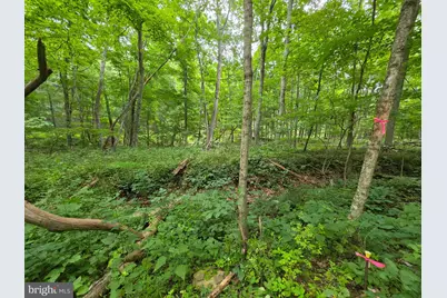 1981 Buffalo Hollow Road, Romney, WV 26757 - Photo 67