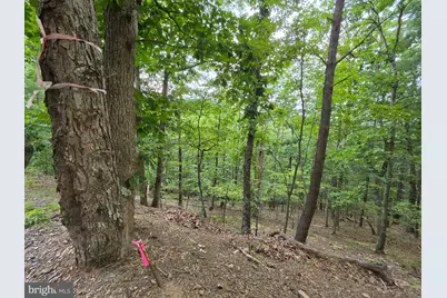 1981 Buffalo Hollow Road, Romney, WV 26757 - Photo 69