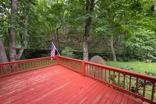 1981 Buffalo Hollow Rd, Romney, WV 26757 - Photo 29