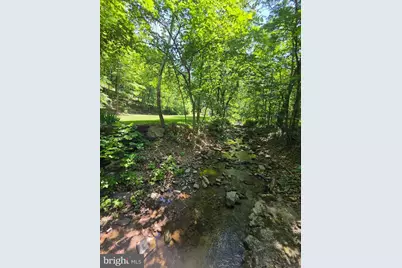 1981 Buffalo Hollow Road, Romney, WV 26757 - Photo 3