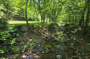 1981 Buffalo Hollow Rd, Romney, WV 26757 - Photo 3