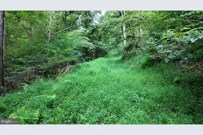 Lot 203 Graces Cabin Road, Romney, WV 26757 - Photo 19