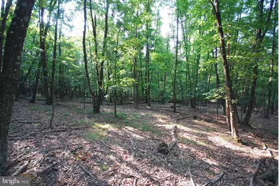 729 Anthony Bohrer Road, Slanesville, WV 25444 - Photo 35