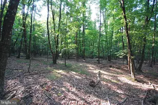 729 Anthony Bohrer Rd, Slanesville, WV 25444 - Photo 35