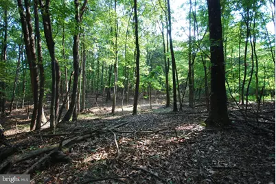 729 Anthony Bohrer Road, Slanesville, WV 25444 - Photo 61