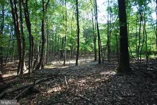 729 Anthony Bohrer Rd, Slanesville, WV 25444 - Photo 61