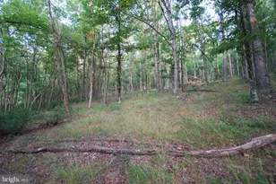 729 Anthony Bohrer Rd, Slanesville, WV 25444 - Photo 25
