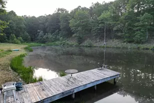 729 Anthony Bohrer Rd, Slanesville, WV 25444 - Photo 27