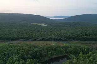 729 Anthony Bohrer Rd, Slanesville, WV 25444 - Photo 49