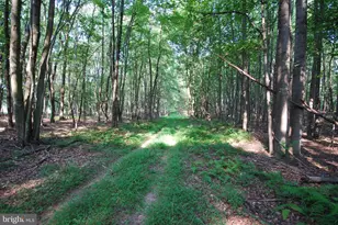 729 Anthony Bohrer Rd, Slanesville, WV 25444 - Photo 65