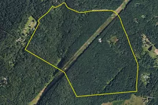 729 Anthony Bohrer Rd, Slanesville, WV 25444 - Photo 75
