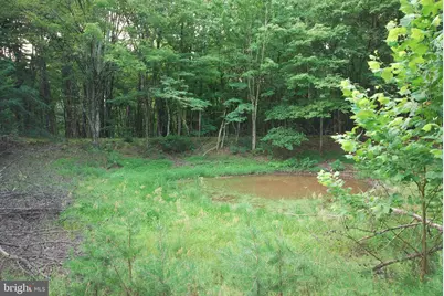 729 Anthony Bohrer Road, Slanesville, WV 25444 - Photo 21
