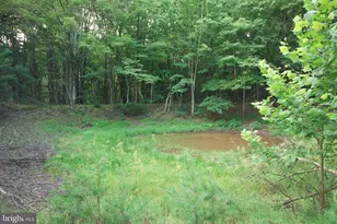 729 Anthony Bohrer Rd, Slanesville, WV 25444 - Photo 21