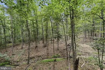 345 Albino Drive, Springfield, WV 26763 - Photo 29
