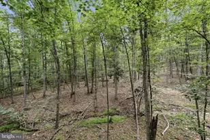 345 Albino Dr, Springfield, WV 26763 - Photo 29