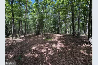20.96 Acres Wilson's Lane, High View, WV 26808 - Photo 25