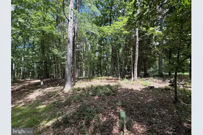 20.96 Acres Wilson's Lane, High View, WV 26808 - Photo 23