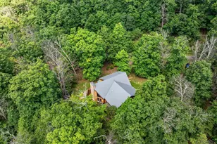 537 Lower Flats Dr, Yellow Spring, WV 26865 - Photo 65
