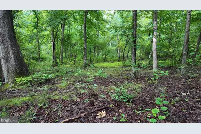 1895 Becks Gap Road, Capon Bridge, WV 26711 - Photo 81