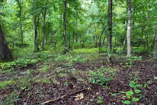 1895 Becks Gap Rd, Capon Bridge, WV 26711 - Photo 81
