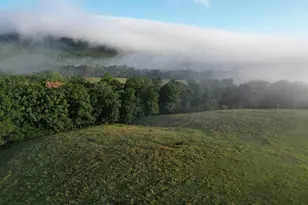1895 Becks Gap Rd, Capon Bridge, WV 26711 - Photo 53