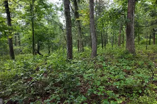 1895 Becks Gap Rd, Capon Bridge, WV 26711 - Photo 69