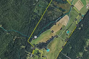 1895 Becks Gap Rd, Capon Bridge, WV 26711 - Photo 101