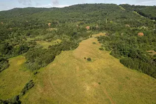 1895 Becks Gap Rd, Capon Bridge, WV 26711 - Photo 59