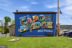 312 Fruit Orchard Dr, Capon Bridge, WV 26711 - Photo 45