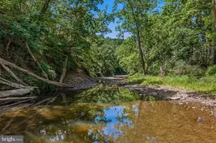 765 Whitetail Crossing Rd, Augusta, WV 26704 - Photo 57