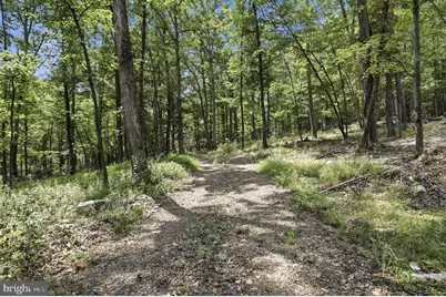 14.29Ac Whispering Pines Road, Slanesville, WV 25444 - Photo 9