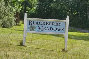 Lot 2 Blackberry Meadows N Physical Address, Paw Paw, WV 25434 - Photo 1