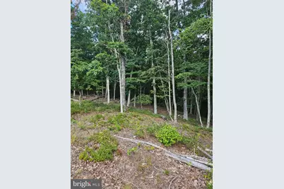 Lot 2 Blackberry Meadows No Physical Address, Paw Paw, WV 25434 - Photo 5