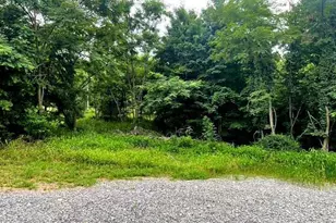 172 Majestic Ln, Springfield, WV 26763 - Photo 25
