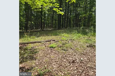 Lots 24 -25 Ashley Court, Shanks, WV 26761 - Photo 1