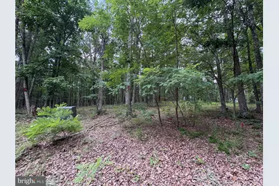 Lots 24 -25 Ashley Court, Shanks, WV 26761 - Photo 5