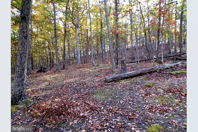 Lot 29 Deer Ridge Estates, Springfield, WV 26763 - Photo 3