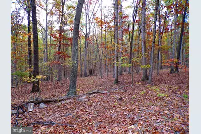 Lot 29 Deer Ridge Estates, Springfield, WV 26763 - Photo 7