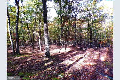 Lot 29 Deer Ridge Estates, Springfield, WV 26763 - Photo 5