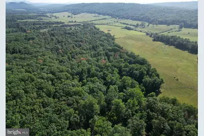 1895 Becks Gap Road, Capon Bridge, WV 26711 - Photo 55