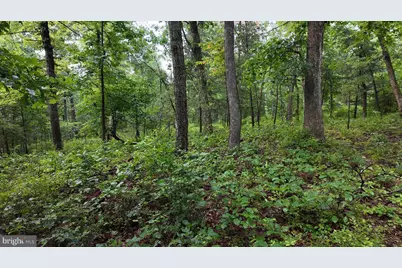 1895 Becks Gap Road, Capon Bridge, WV 26711 - Photo 69