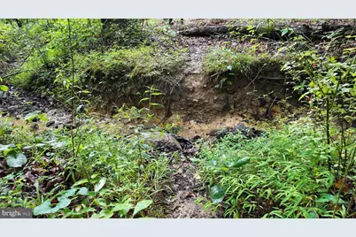 1895 Becks Gap Road, Capon Bridge, WV 26711 - Photo 83