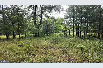 1895 Becks Gap Road, Capon Bridge, WV 26711 - Photo 73