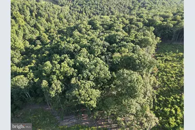Racey Road, Augusta, WV 26704 - Photo 9