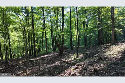 Racey Road, Augusta, WV 26704 - Photo 27