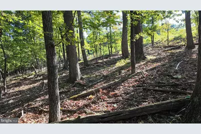 Racey Road, Augusta, WV 26704 - Photo 21