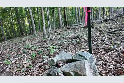 Racey Road, Augusta, WV 26704 - Photo 25