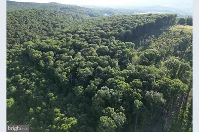 Racey Road, Augusta, WV 26704 - Photo 11